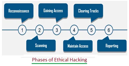 Ethical Hacking phases
