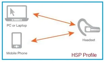HSP profile