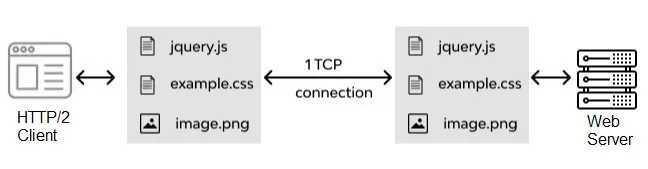 HTTP/2 protocol