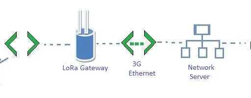 LoRa Wireless Technology: M2M and IoT Networks