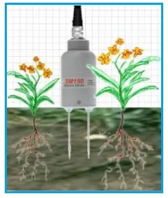 Moisture Sensor