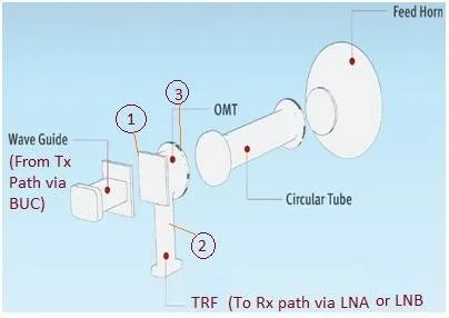 OMT vs TRF: Understanding the Key Differences