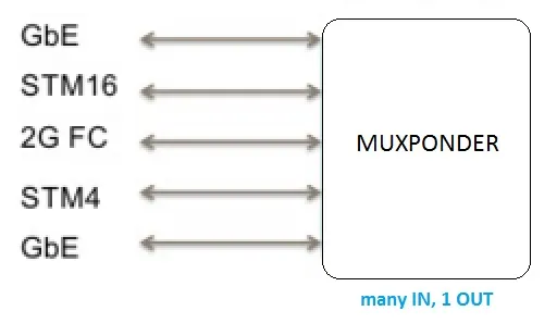 Transponder vs Muxponder: Key Differences Explained