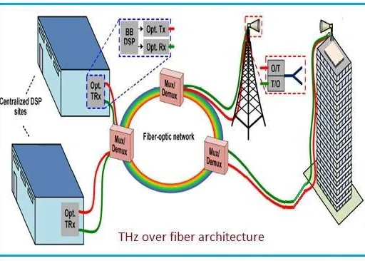 THz to Optical Conversion in 6G Wireless