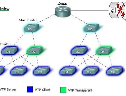 VTP vs. DTP: Key Differences Explained