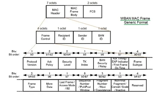 WBAN MAC Layer Frame