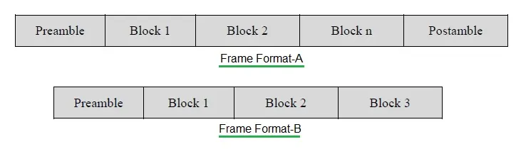 Wireless M-Bus Frame formats
