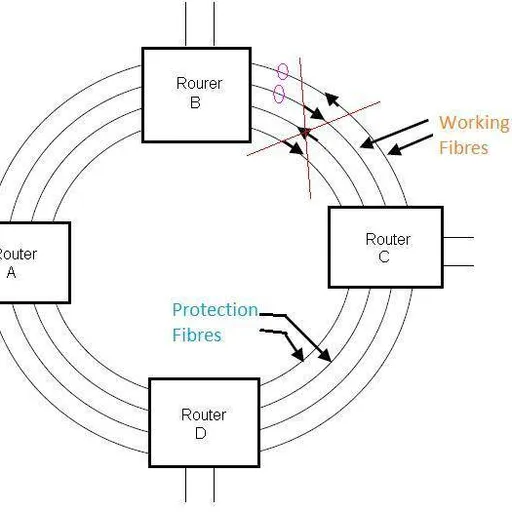 Automatic Protection Switching (APS) in SDH/SONET Networks