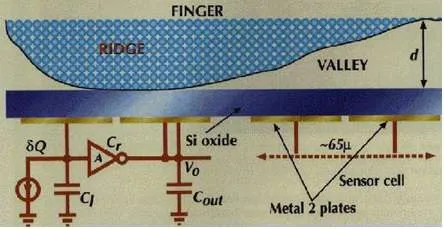 capacitive sensing