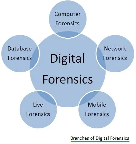 Digital Forensics Investigation: An Overview of Processes and Branches