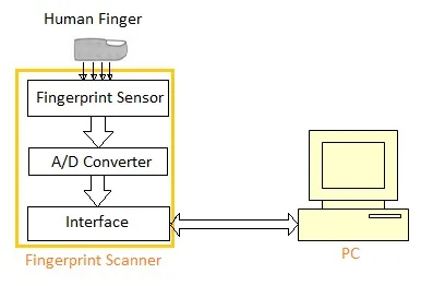 Fingerprint Sensor Basics and Types