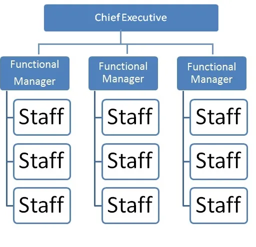 Functional vs. Projectized vs. Matrix Organization Structures