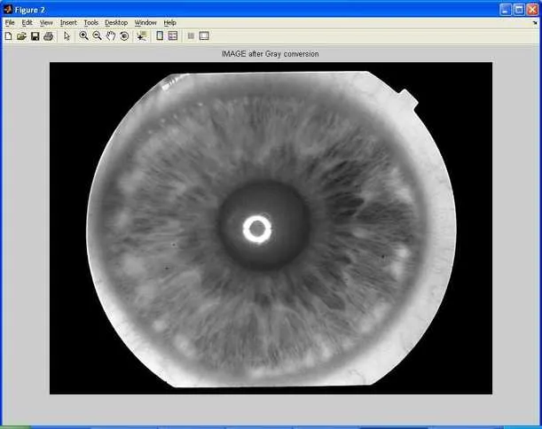 iris detection gray conversion