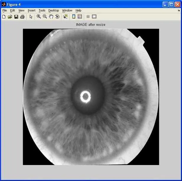 iris detection image resize