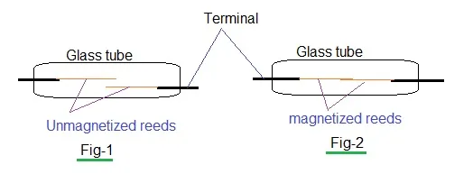 reed switch