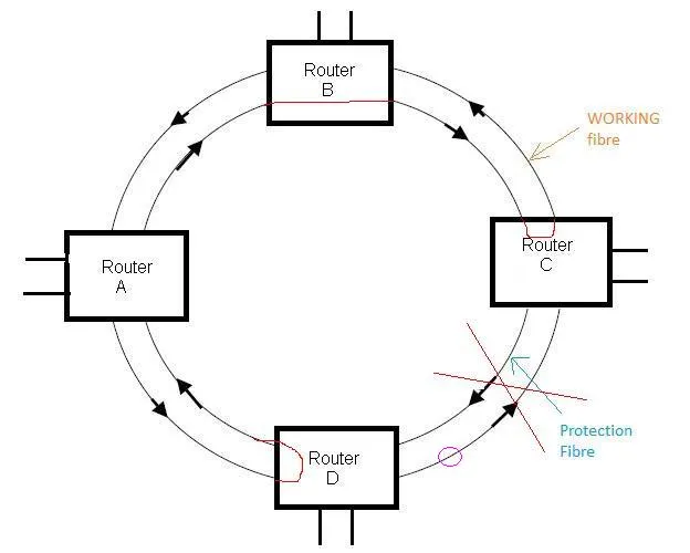 unidirectional ring protection