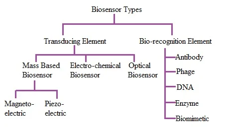 Different types of Biosensors, Biosensor types