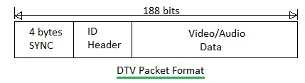 DTV packet format