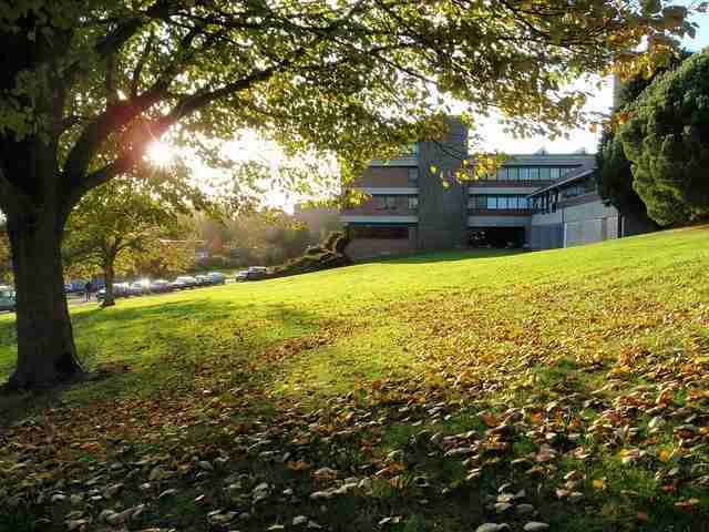 Engineering colleges and universities in UK-Exeter university