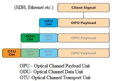 OTU client signal mapping