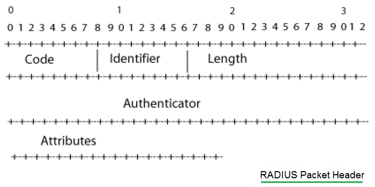 Radius packet header format