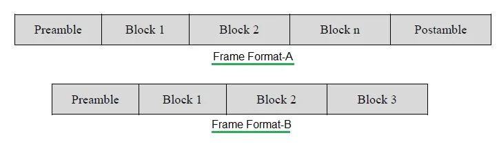 Wireless M-Bus Frame formats