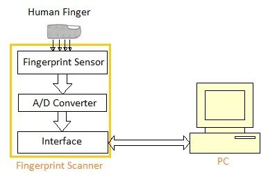 fingerprint sensor used in fingerprint scanner