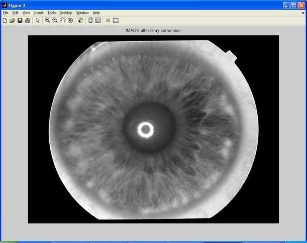 iris detection gray conversion 