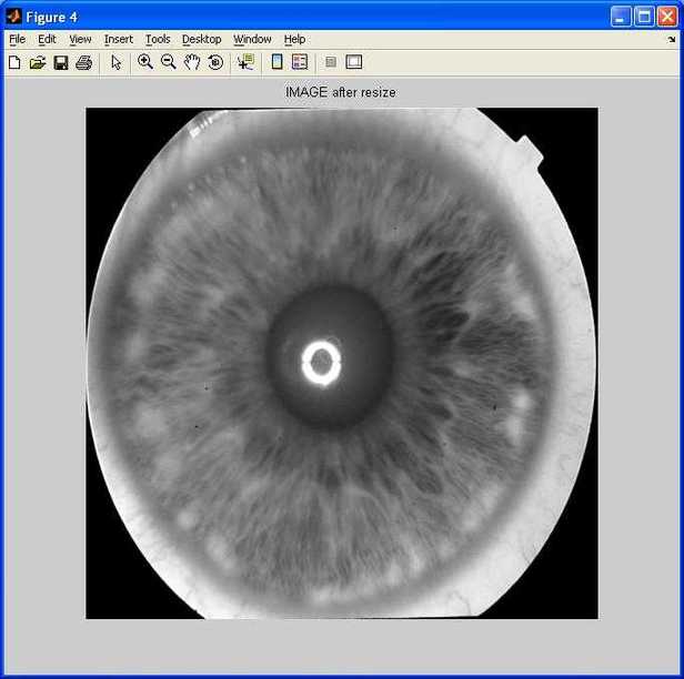 iris detection image resize 