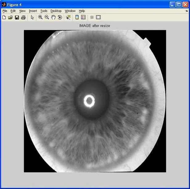 iris detection image resize 
